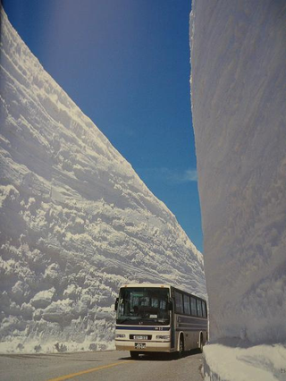 Illustration for article titled New York Looks Like Snow Zombieland—But It's Nothing Compared to Japan